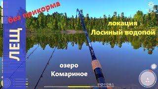 Русская рыбалка 4 - озеро Комариное - Без прикорма: лещ