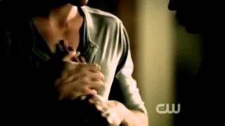 Delena- Seasons 1-4 Journey ~ I've Never Seen You More Alive