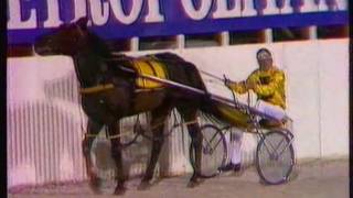 1986 Max Harvey Auckland Cup (Part 1 of 2) - Alexandra Park, Auckland: Comedy Lad