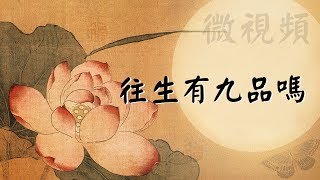 淨土宗微視頻：往生有九品嗎？（慧淨法師）