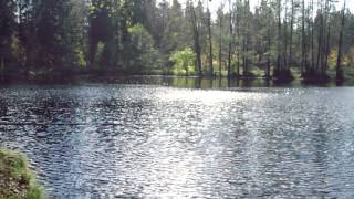 Глазами детства (Мирный - Космодром Плесецк)