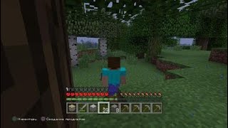 Minecraft: PS®4 Edition ура мы выбрались из пещеры