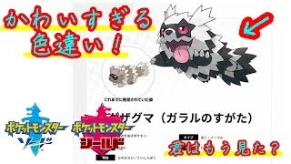 5分で出会える色違いジグザグマ「ポケモン　ソード・シールド」