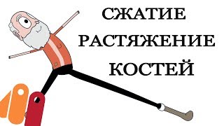 Anime Studio Pro (Moho) - Сжатие и растяжения костей