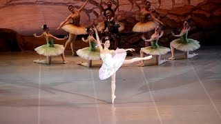 Елена Лузина "Дон Кихот"(Китри-Дульсинея 2й акт)