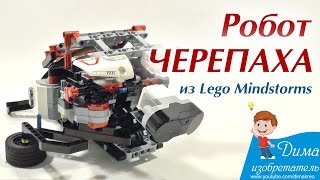 Робот черепаха