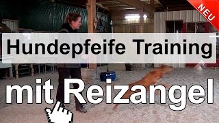 Hundetraining - Hundepfeife Training mit Reizangel