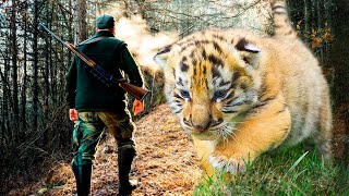 ТИГРЯТА, прижавшись друг к другу лежали на холодной земле.. Они были страшно напуганы лаем собаки.
