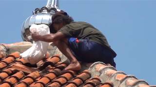 6 MENIT PANEN MADU TANPA PENGAMAN APA PUN! (harvesting HONEY)Y
