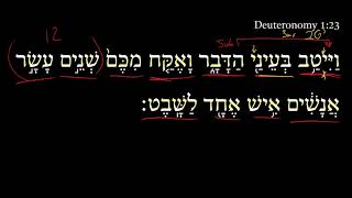 Deuteronomy 1:23