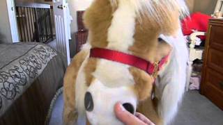 Hasbro FurReal Friends Butterscotch Pony Demo