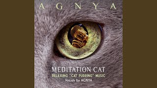Meditation Cat Day (Cat Purring Meditation)