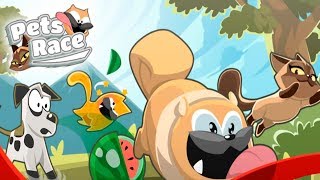 Pets Race гонки Питомцев обзор