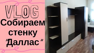 VLOG:Привезли всю мебель.Маркуша в клетке с морскими свинками.Собираем стенку "Даллас240".(1.11.18)