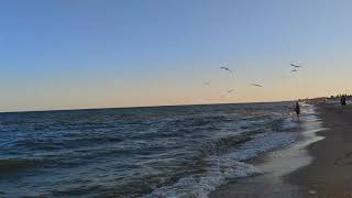 ???? Вечерняя прогулка вдоль берега моря ???? Пляж ⛱ Затока Рута ???? Одесская область ????Черное море
