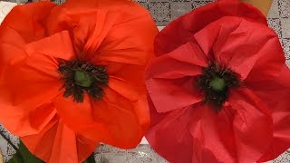 Гигантские маки из бумаги. Мастер-класс