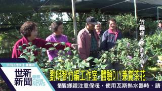 世新新聞 劉明智竹編工作室 體驗DIY兼賞茶花