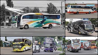 HUNTING DI "KANDANG" STJ | #StreetHunting Terminal Maospati Magetan