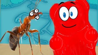 НОВАЯ АРЕНА ДЛЯ МУРАВЕЙНИКА И ЖЕЛЕЙНЫЙ МЕДВЕДЬ В ПОМОЩНИКАХ