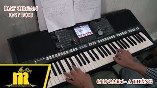 Học Đàn Organ Cấp Tốc TPHCM - Sóc Sơ Bai Sóc Trăng - Học Organ Online-Cơ Bản-Nâng Cao-★0909422006★