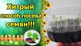 ХИТРЫЙ И ИНТЕРЕСНЫЙ СПОСОБ ПОСЕВА ЛЮБЫХ СЕМЯН! ПОСЕВ СЕМЯН ПЕРЦА НА ГИДРОГЕЛЬ!