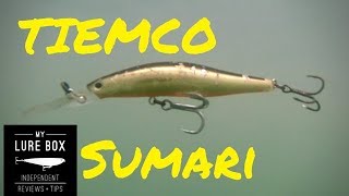 Tiemco Sumari 90 ACTION REVIEW with fishing tips! Big Bass, Bull Shark, Trevally and Jacks (2018)