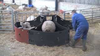 Solway Recycling 3 Bay Lamb Adopter