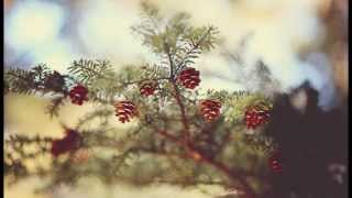 Two slow Nasheeds (محمد المقيط) | Muhammad al Muqit
