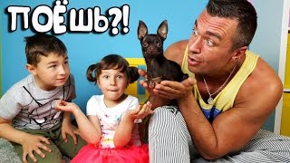 ✔ СОБАКА ПОЁТ! ✔ Едем на передачу Голос? ✔ Победит в Евровидении? Русский той