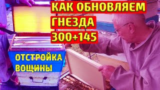 ПЧЕЛОВОДСТВО 300+145 ОБНОВЛЕНИЕ ГНЕЗДА Отстройка вощины