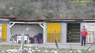 ΣΤΑΘΗΣ ΠΟΛΥΜΕΡΗΣ ΠΑΡΟΥΣΙΑΣΗ ΝΕΑΡΩΝ ΠΕΡΙΣΤΕΡΙΩΝ ΧΑΒΑΣ Νο1 30 12/ 2019 /20