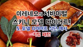 이레네오 모델 다이어트 식단예시! 치팅패턴!