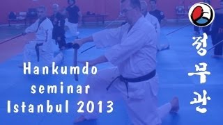 Istanbul H.K.D. seminars 2013: hankumdo