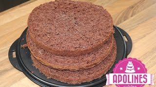 შოკოლადის გემრიელი ბისკვიტი  - Biskuit Boden