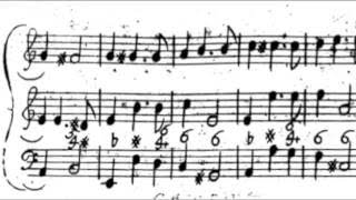 Corelli: Sonata op. 2 no. 12 Ciacona. Los Músicos de Su Alteza, live recording