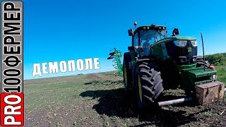 Посев подсолнуха 2019 с матюками. Часть 2.