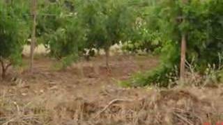 İMİRLİ KÖYÜ VİDEO KLİBİ