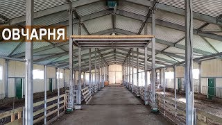 СОДЕРЖАНИЕ ОВЕЦ. Устройство овчарни. КФХ Степаненко