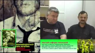 Софора японская применение на www.травами-лечение.рф