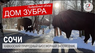 Кавказский природный биосферный заповедник в Сочи. Большой обзор