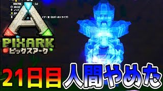 俺の体が...魂の姿に...！！【ピックスアーク実況】21日目