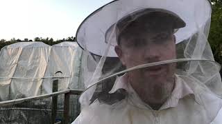 Putting the Bees to Bed and a Fall Honey Harvest!!