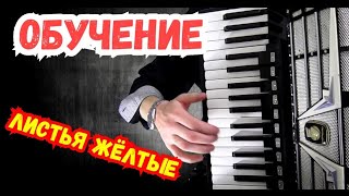 Обучение песни Листья желтые на аккордеоне / Онлайн Уроки на гармони