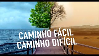 COMO SER UM TRADER? JEITO “FÁCIL” E JEITO “DIFÍCIL” #8