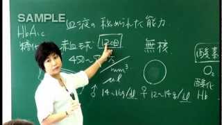 看護師国家試験「解剖生理講座」2012夏期講習 通信DVDサンプル