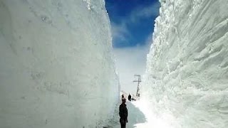 Камчатка; Петропавловск - Камчатский (После пурги!!! ) Видео с WhatsApp