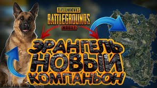 НОВЫЙ КОМПАНЬОН В PUBG MOBILE ! ИЗМЕНЕНИЕ ЛОКАЦИЙ КАРТЫ ЭРАНГЕЛЬ ! ОБНОВЛЕНИЕ 0.17.0 ПУБГ МОБАЙЛ
