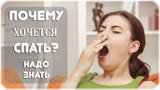 Почему всегда хочется спать?
