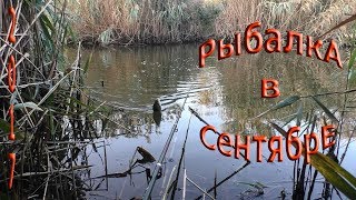 Рыбалка осенью в сентябре,на поплавок