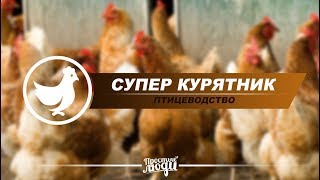 СУПЕР СОВРЕМЕННЫЙ КУРЯТНИК | НАКОНЕЦ ТО ПОСТРОИЛИ!!!